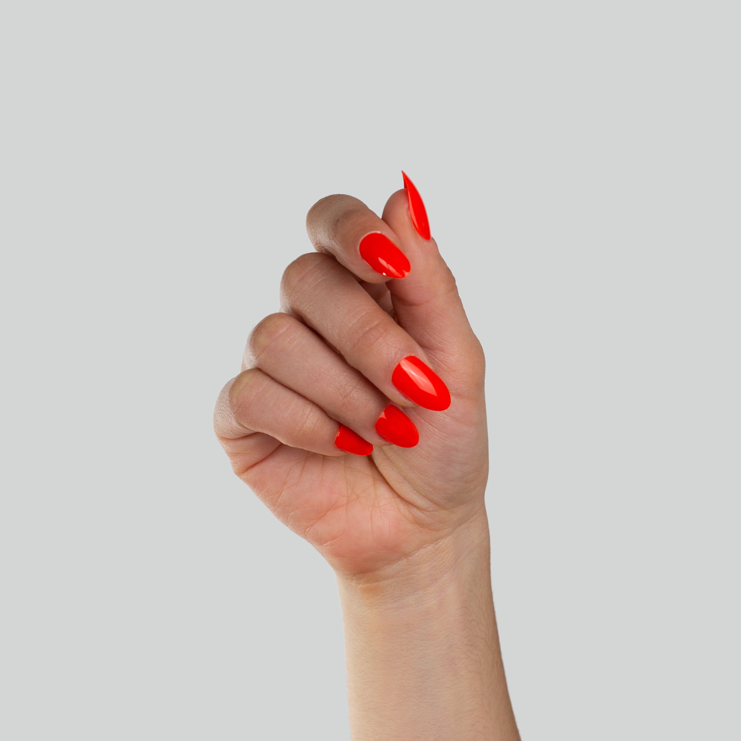 Flamenco